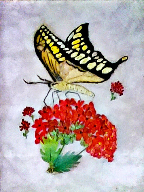 Butterfly on red flowers with a textured background
