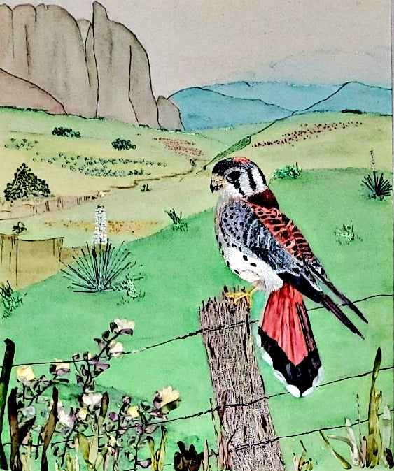 Meadow King - Sold