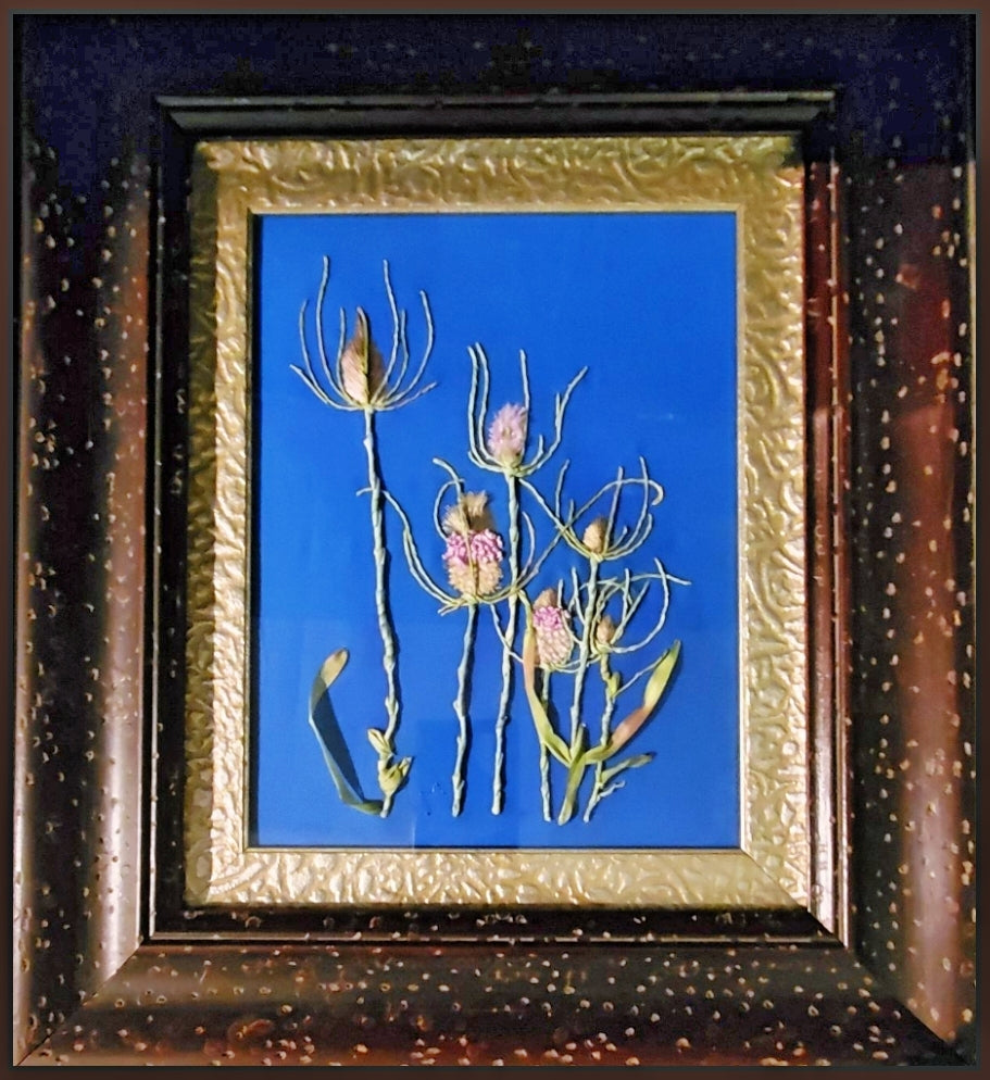 Framed artwork of pressed flowers on a blue background