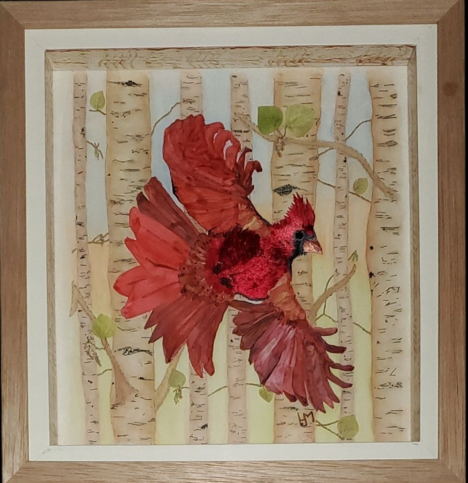 Cardinal flying through aspen trees